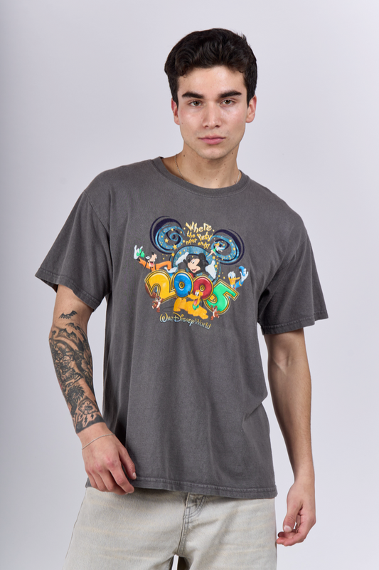 2005 Walt Disney World Tee (M/L)